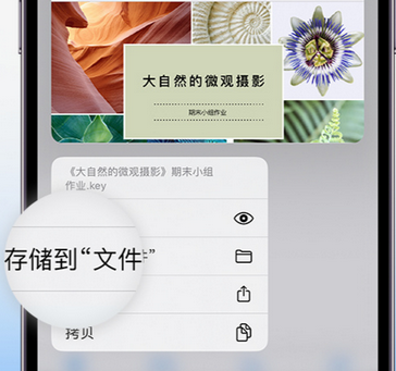 新荣apple维修中心分享iPhone文件应用中存储和找到下载文件