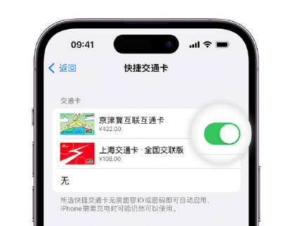 新荣apple维修点分享iPhone上更换Apple Pay快捷交通卡手绘卡面 