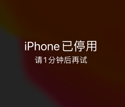 新荣苹果手机维修分享:iPhone 显示“不可用”或“已停用”怎么办？还能保留数据吗？ 