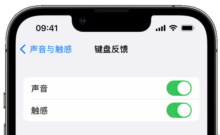 新荣苹果手机维修分享iPhone 14触感键盘使用方法 