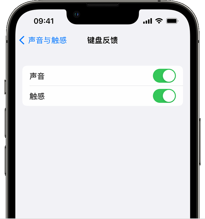 新荣苹果14维修店分享如何在 iPhone 14 机型中使用触感键盘 