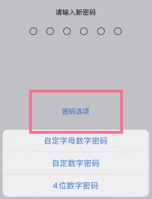 新荣苹果14维修分享iPhone 14plus设置密码的方法 