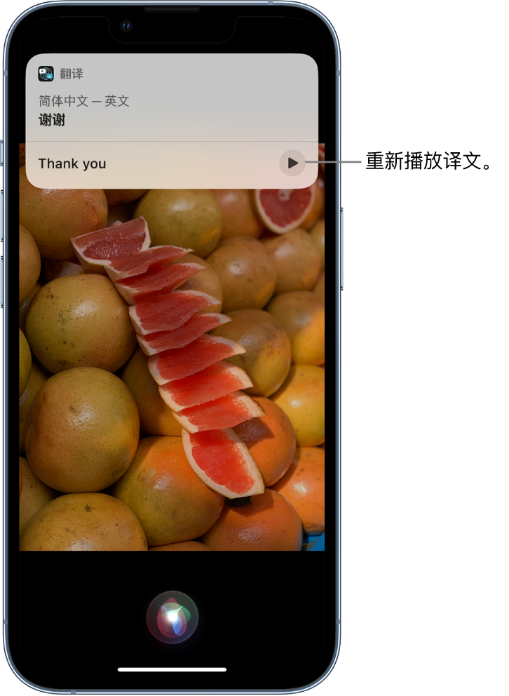 新荣苹果14维修分享 iPhone 14 机型中使用 Siri：了解 Siri 能帮你做什么 