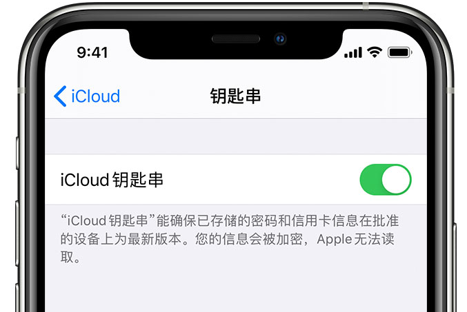 新荣苹果手机维修分享在 iPhone 上开启 iCloud 钥匙串之后会储存哪些信息 