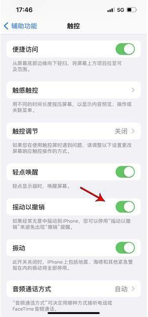 新荣苹果手机维修分享iPhone手机如何设置摇一摇删除文字 